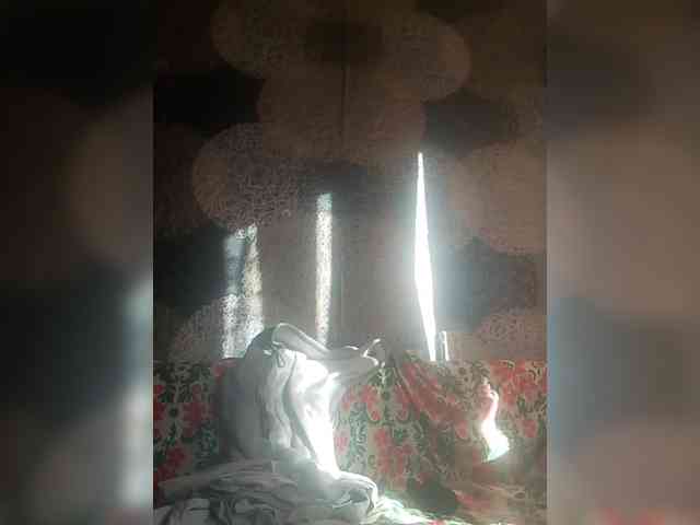 Lida7 webcam