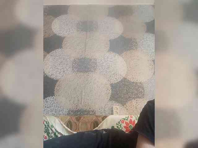 Lida7 webcam