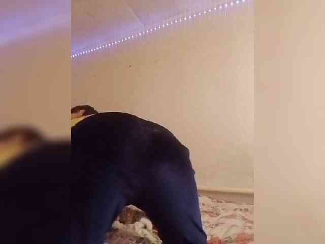 Lida7 webcam