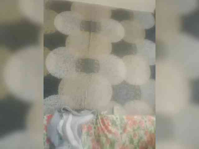 Lida7 webcam