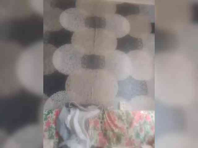 Lida7 webcam