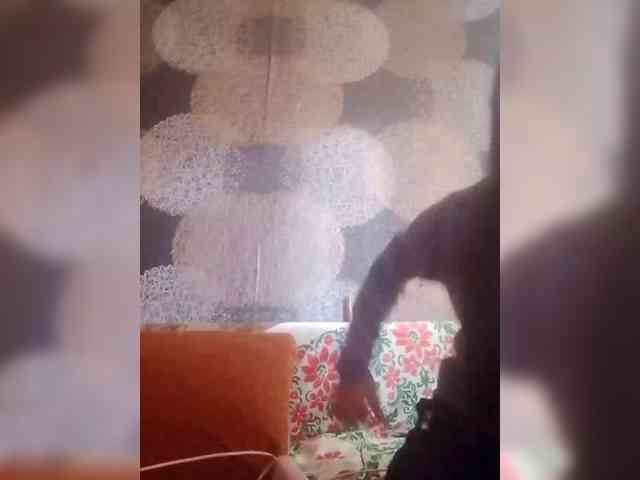 Lida7 webcam