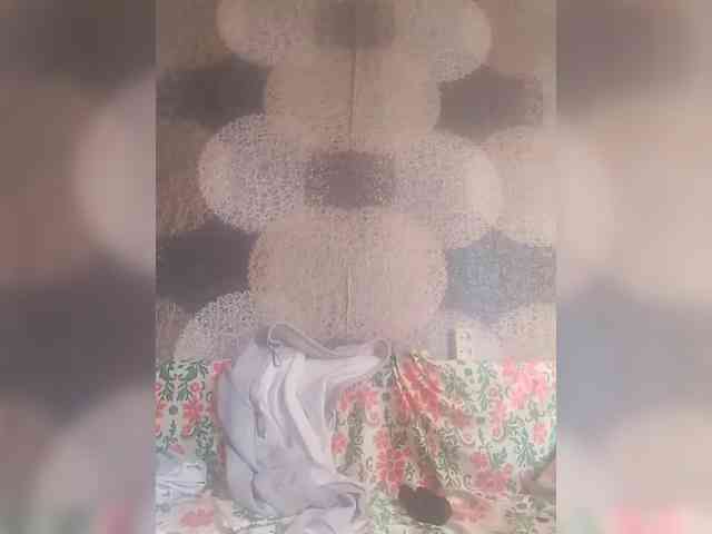 Lida7 webcam