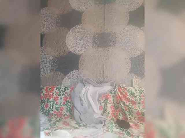 Lida7 webcam