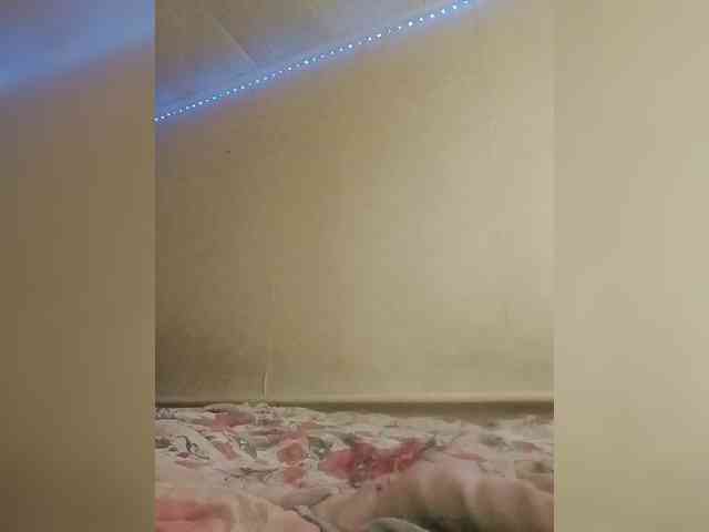 Lida7 webcam