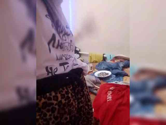Lida7 webcam