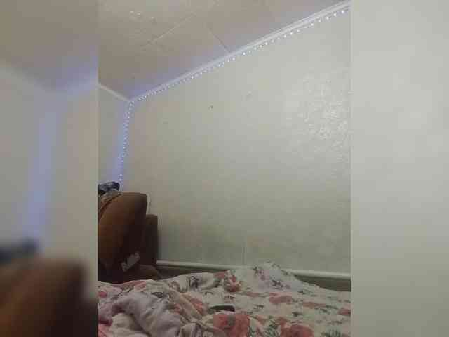 Lida7 webcam