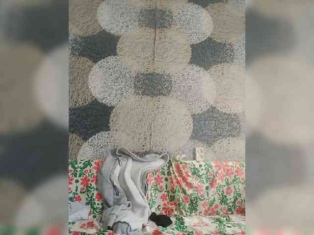 Lida7 webcam
