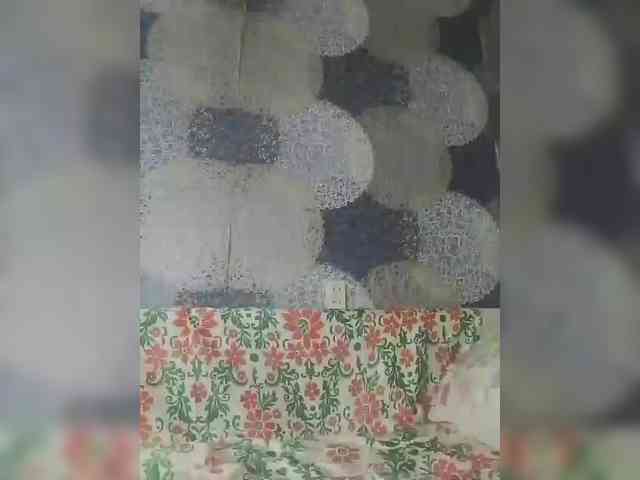 Lida7 webcam