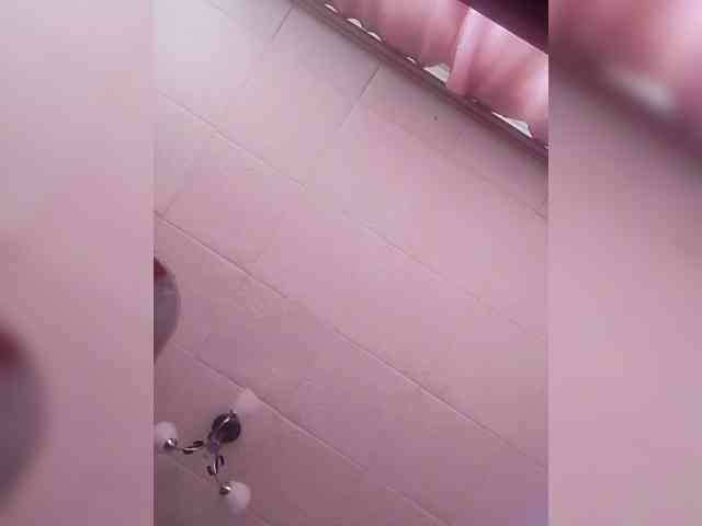 Lida7 webcam