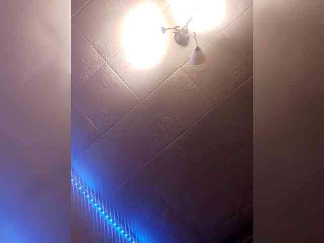 Lida7 webcam