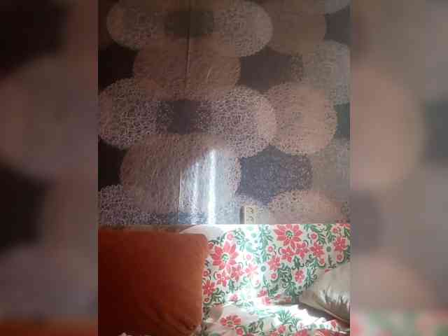 Lida7 webcam