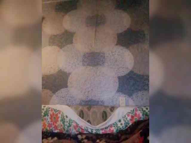 Lida7 webcam