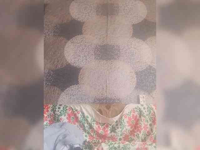 Lida7 webcam