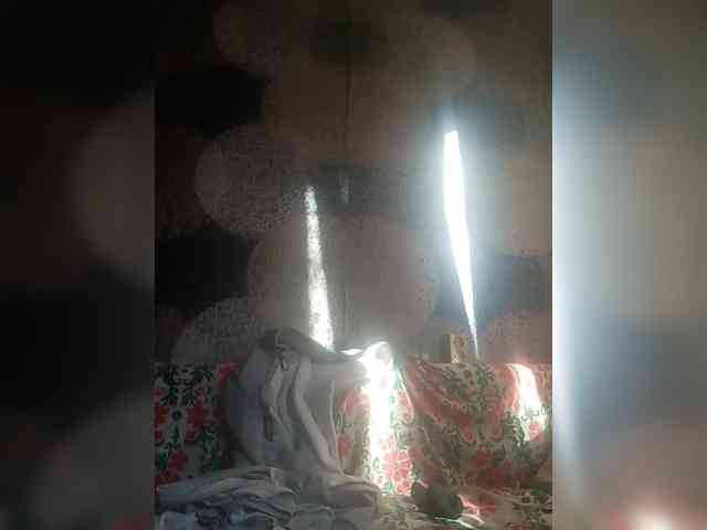 Lida7 webcam