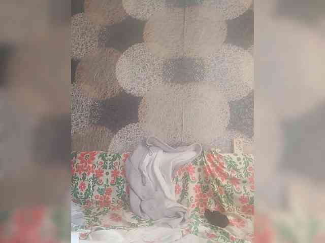 Lida7 webcam