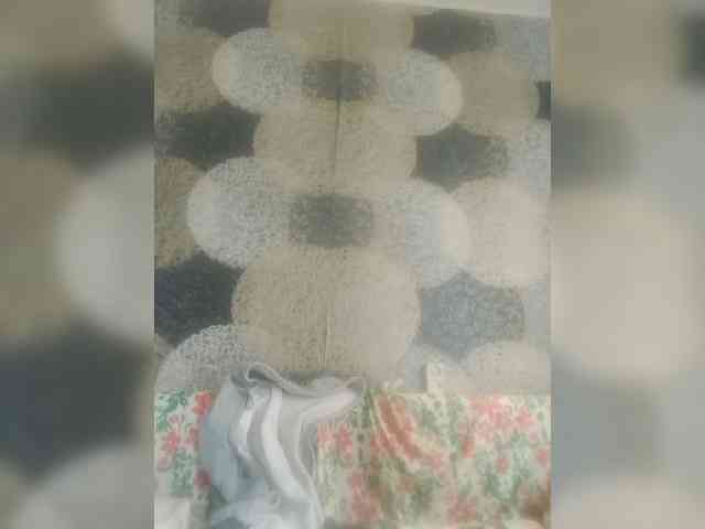 Lida7 webcam