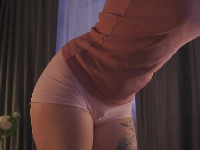 модель NETSENZURA