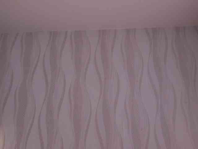 NETSENZURA webcam