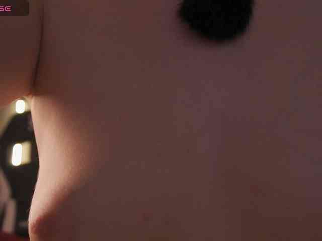 NETSENZURA webcam