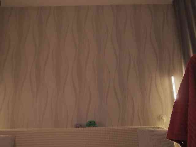 NETSENZURA webcam