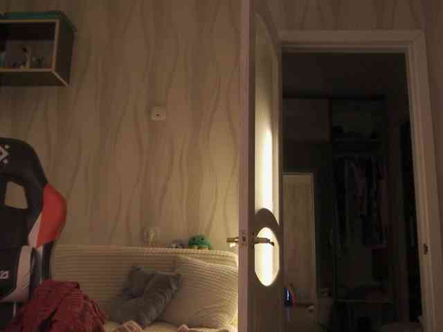NETSENZURA webcam