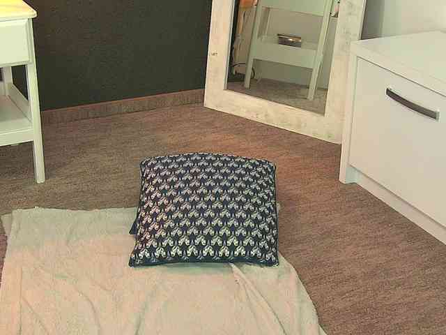 NoirKitten webcam