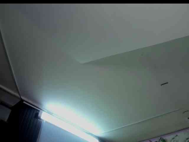 ivybrowm webcam