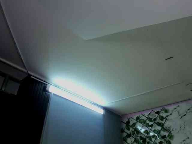 ivybrowm webcam