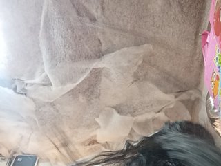 Bella-152 Porn Show