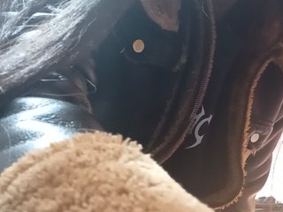 Bella-152 Porn Show