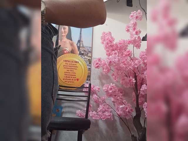 Bella-152 live cam on BongaCams