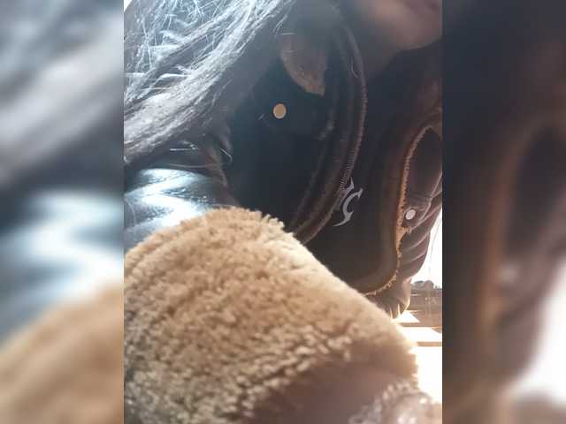 Bella-152 live webcam show