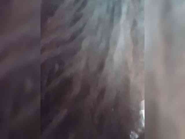 Bella-152 webcam