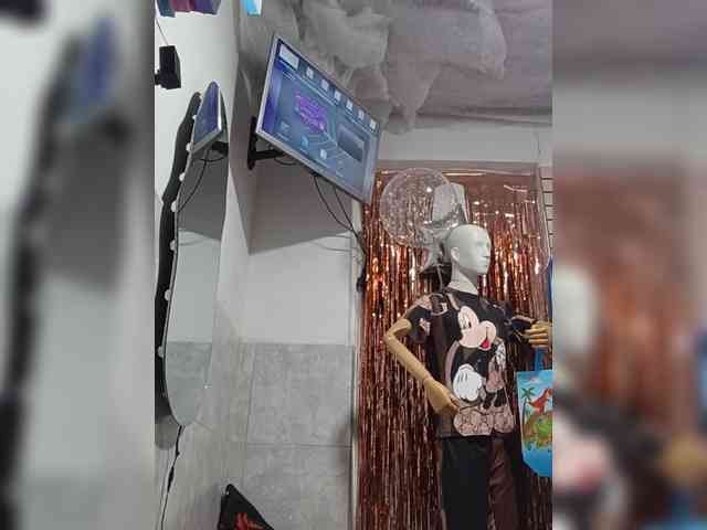 Bella-152 webcam