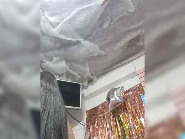 Bella-152 webcam