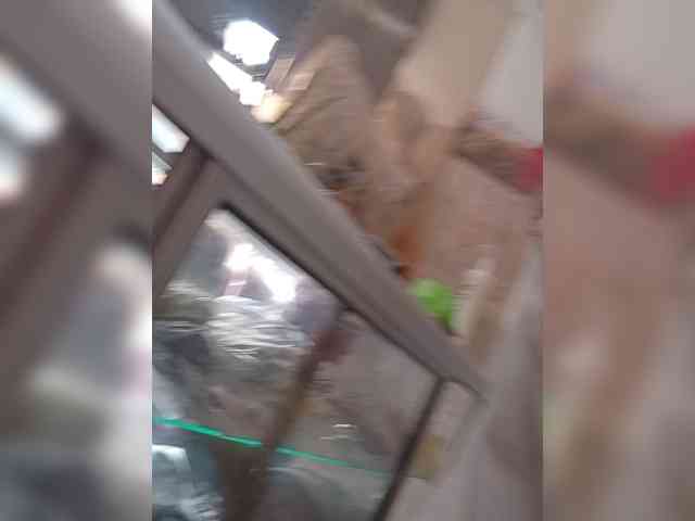 Bella-152 webcam
