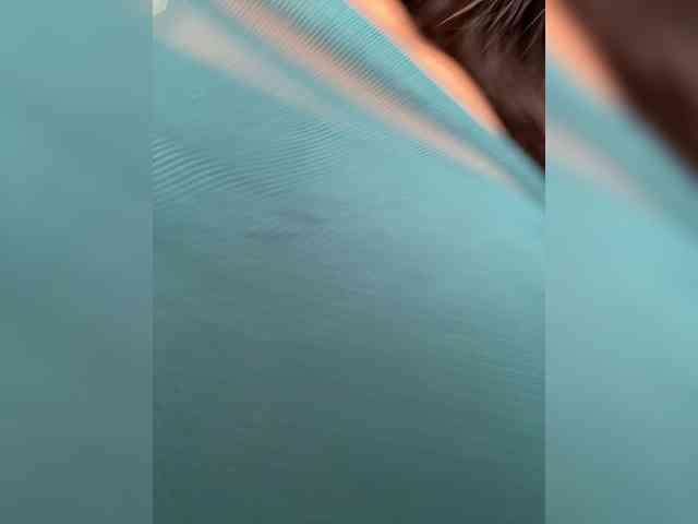 Bella-152 webcam
