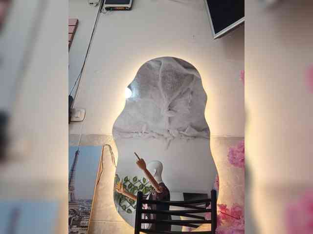 Bella-152 webcam
