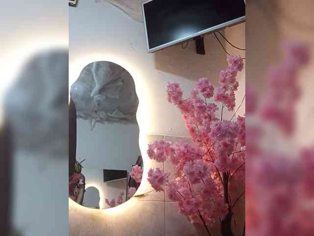 Bella-152 webcam