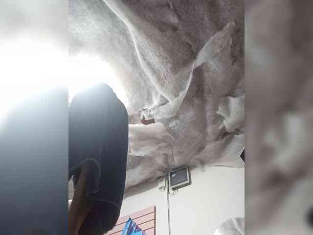 Bella-152 webcam