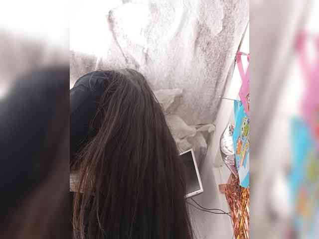 Bella-152 webcam