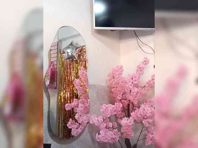 Bella-152 webcam