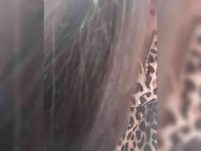 Bella-152 webcam