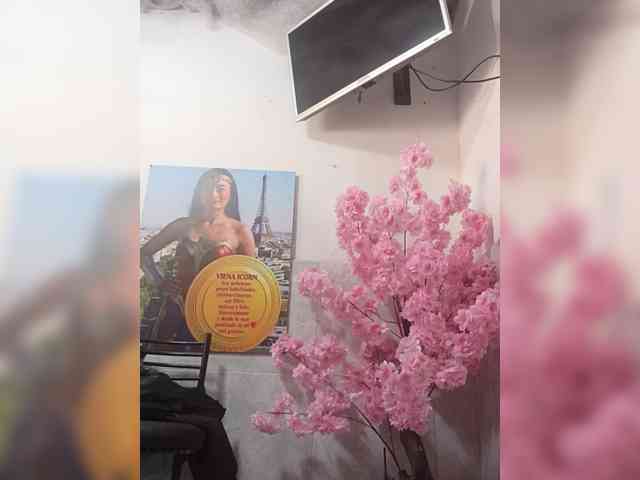 Bella-152 webcam