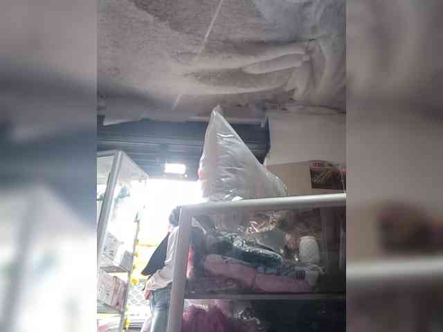 Bella-152 webcam