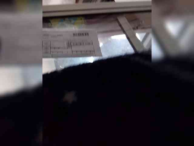 Bella-152 webcam