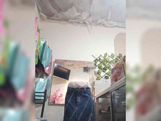 Bella-152 webcam