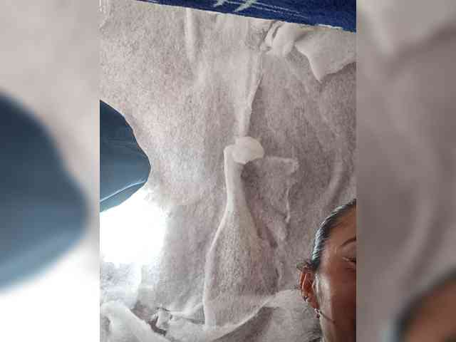 Bella-152 webcam