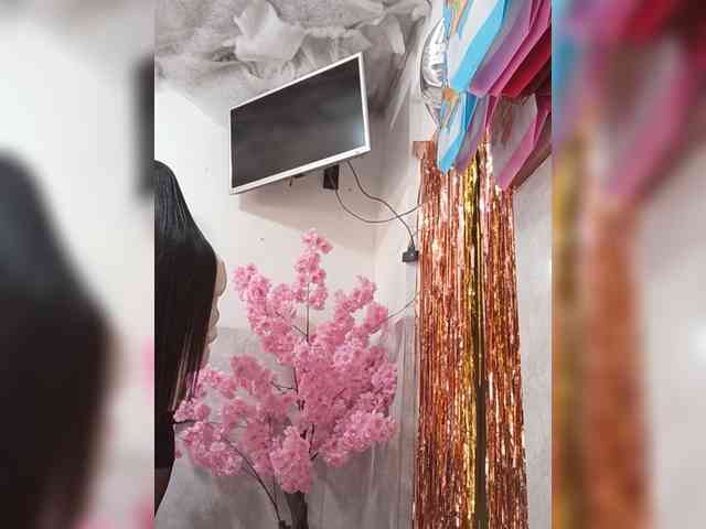 Bella-152 webcam